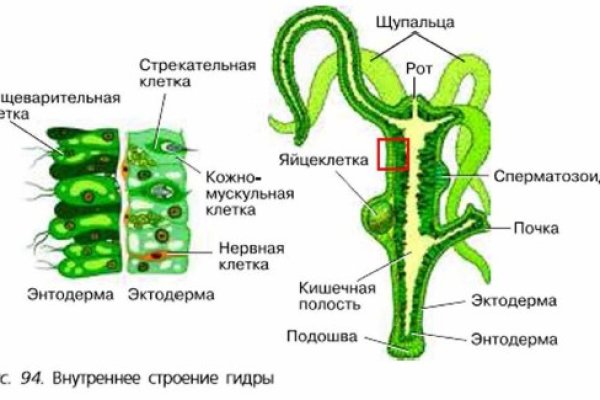 Кракен сайт kraken2